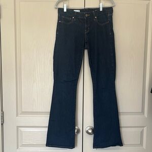 Gap 1969 Curvy Women's Jeans